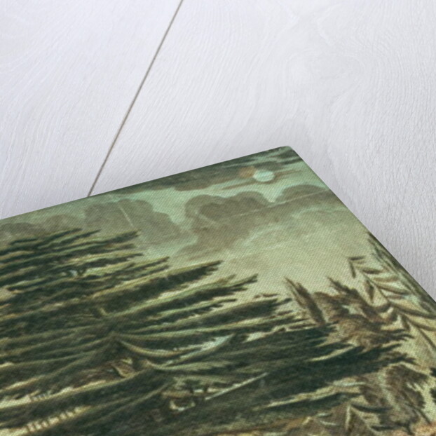 Inauguration of the bust of Carl Linnaeus in the Jardin des Plantes, underneath the Cedar of Lebanon which he planted in 1646, 23rd August 1790 by French School