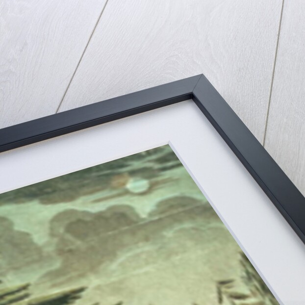 Inauguration of the bust of Carl Linnaeus in the Jardin des Plantes, underneath the Cedar of Lebanon which he planted in 1646, 23rd August 1790 by French School