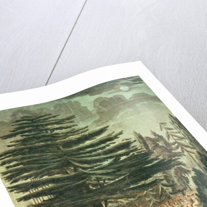 Inauguration of the bust of Carl Linnaeus in the Jardin des Plantes, underneath the Cedar of Lebanon which he planted in 1646, 23rd August 1790 by French School