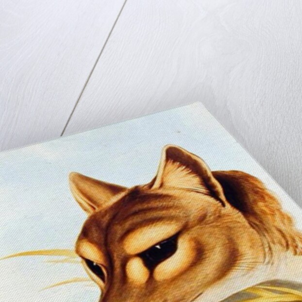 Tasmanian Wolf or Tiger by Henry Constantine Richter