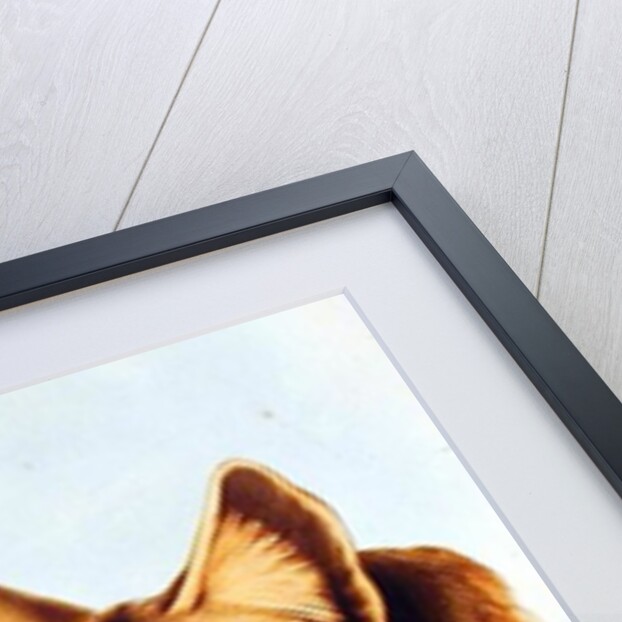 Tasmanian Wolf or Tiger by Henry Constantine Richter