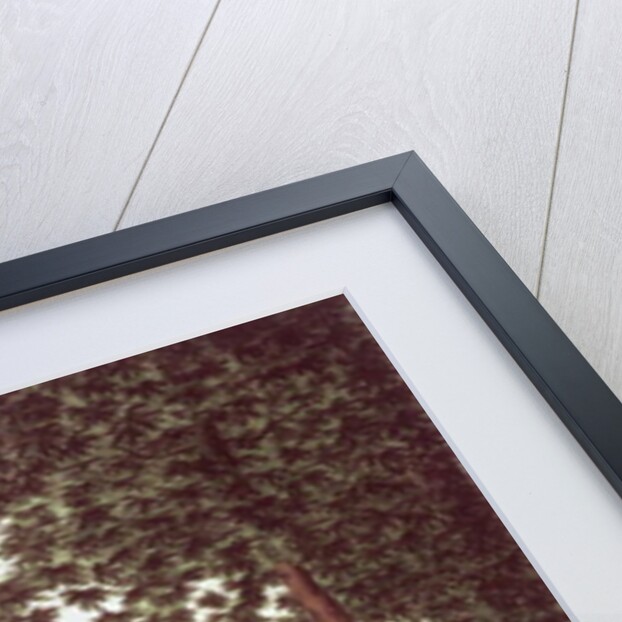 The Gardens of Windsor Castle, set design for the opera 'Anna Bolena' by Alessandro Sanquirico