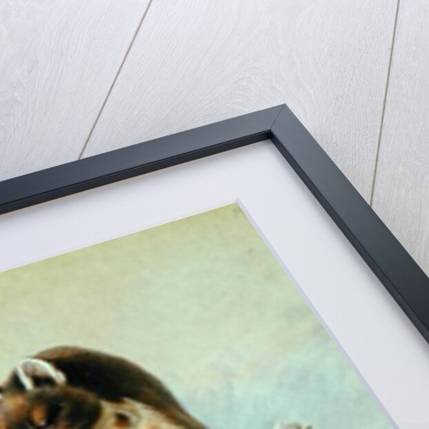 Pine Marten, 1919 by Archibald Thorburn