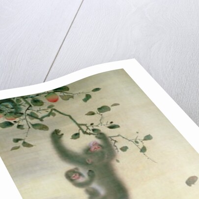 Family of Monkeys in a Tree by School Japanese