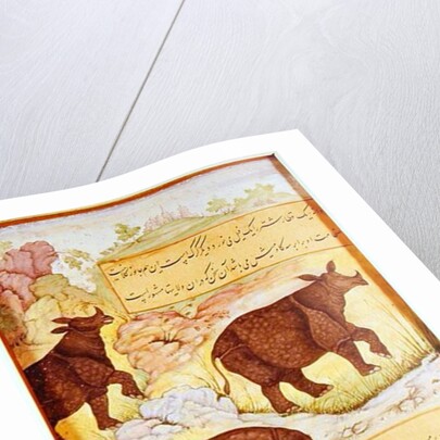 Rhinoceros by Mughal School