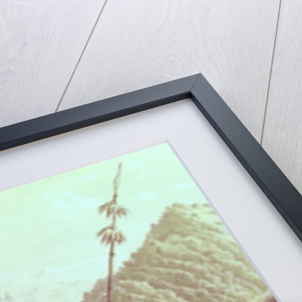 Araucanian Indians by French School