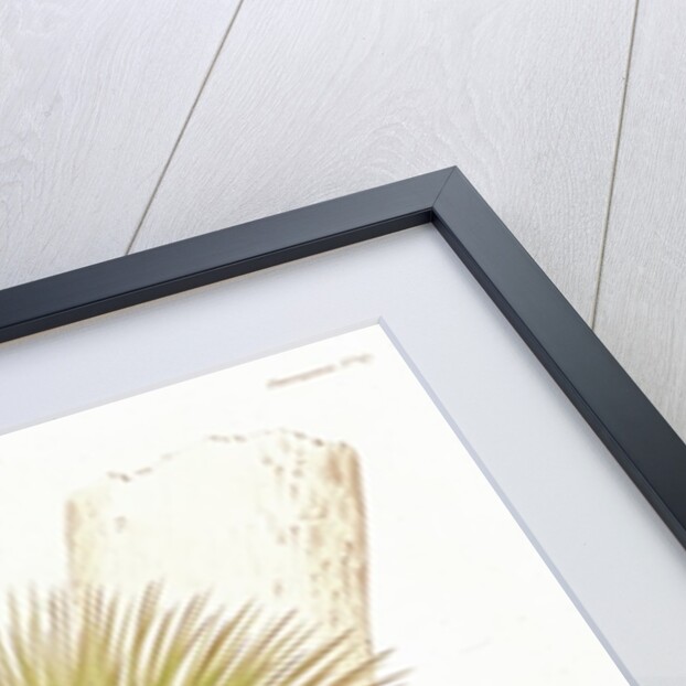 A Bromelia found in the Andes by French School