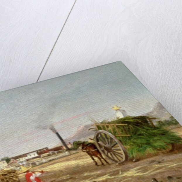 Peasants Collecting Sugar Cane, Central America, c.1840 by American School