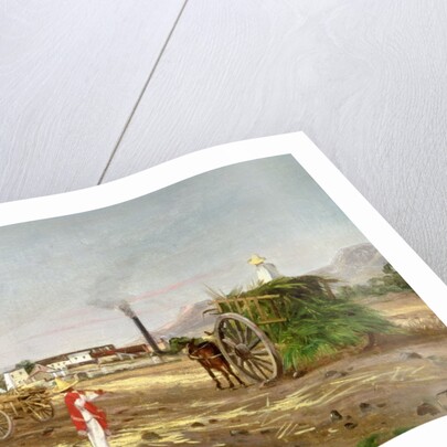 Peasants Collecting Sugar Cane, Central America, c.1840 by American School