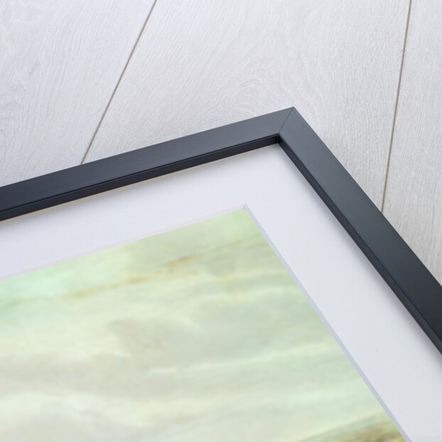 View of Washington by American School