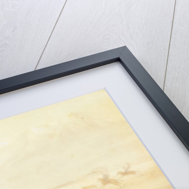 Costumes of Chilean Rustics by Johann Moritz (after) Rugendas