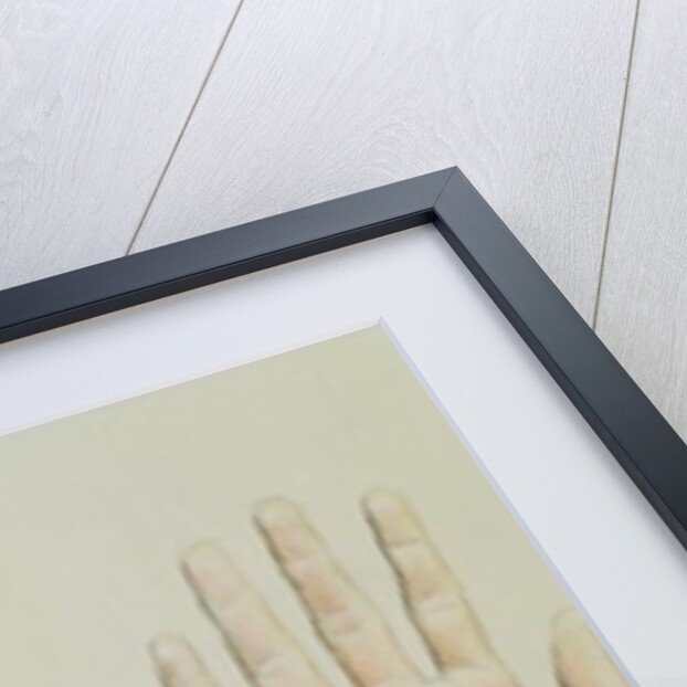 Hands of a primate and a human by English School