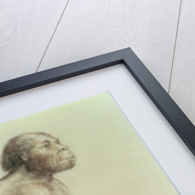 Australopithecus Africanus by English School