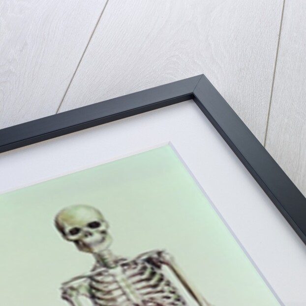 Skeletons of Australopithecus Boisei and Homo Sapiens by English School