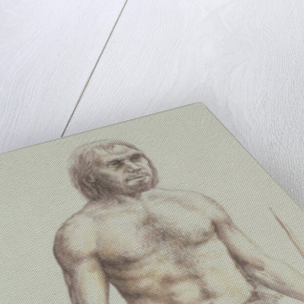 Neanderthal Man by English School