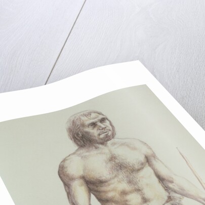 Neanderthal Man by English School