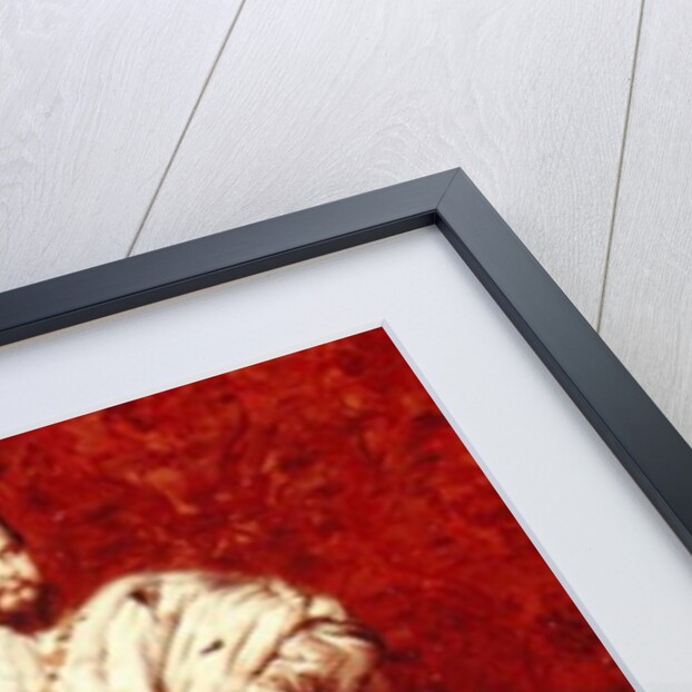 Ludwig II 1887 by Gabriel Schachinger