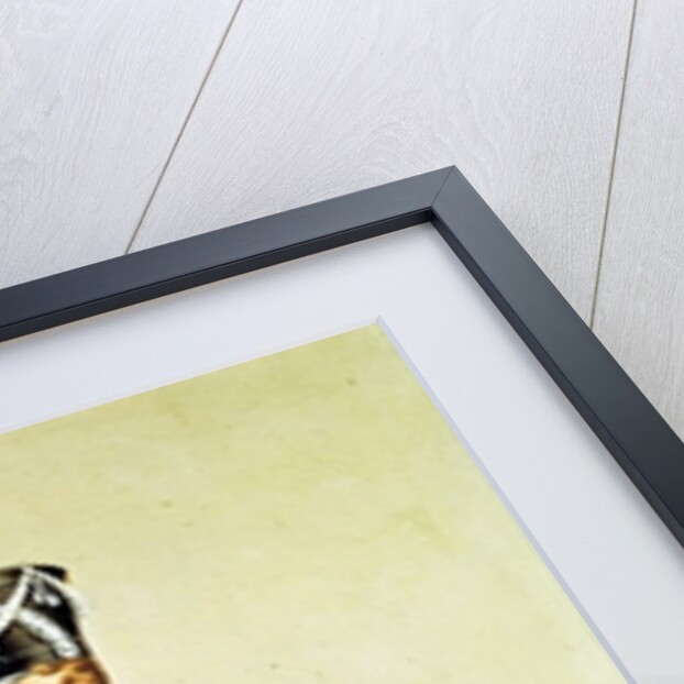 Light Infantry Ensign, 1811 by English School