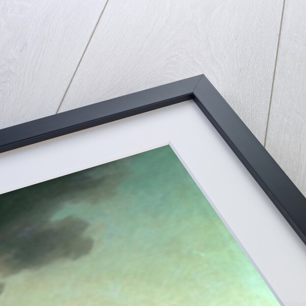 Thomas Brown at the Battle of Dettingen, 27th June 1743 by English School