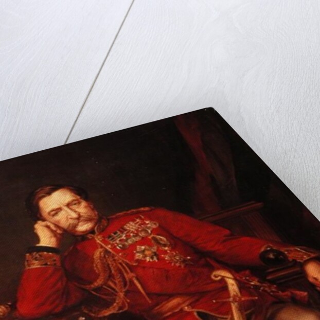 Portrait of Robert, Lord Napier of Magdala by Lowes Cato Dickinson