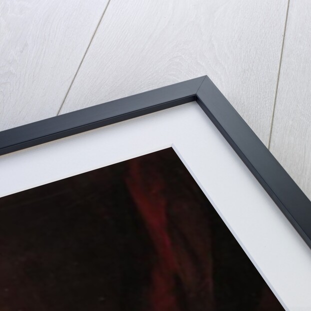 Portrait of Robert, Lord Napier of Magdala by Lowes Cato Dickinson