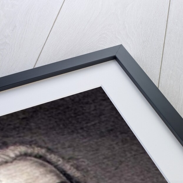 Francois Marie Arouet de Voltaire by Maurice Quentin de la Tour