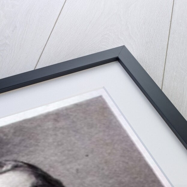 Oliver Cromwell, Lord Protector of England, Scotland and Ireland by Gaspar de Crayer