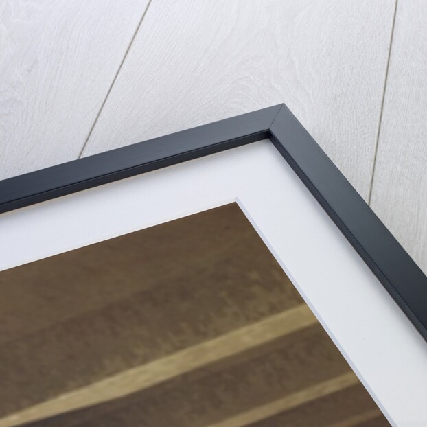 Set design for Act II Scene xx of 'The Magic Flute' by Wolfgang Amadeus Mozart by Karl Friedrich Schinkel