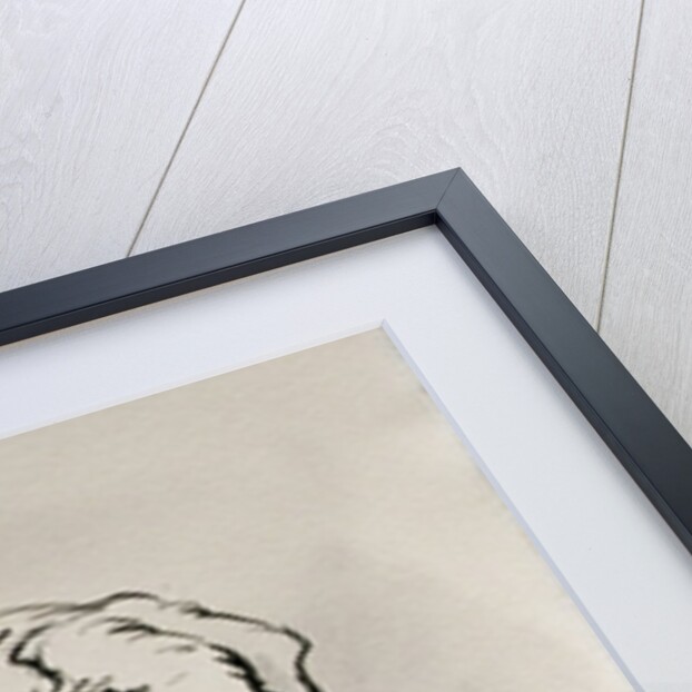 Wolfgang Amadeus Mozart by French School