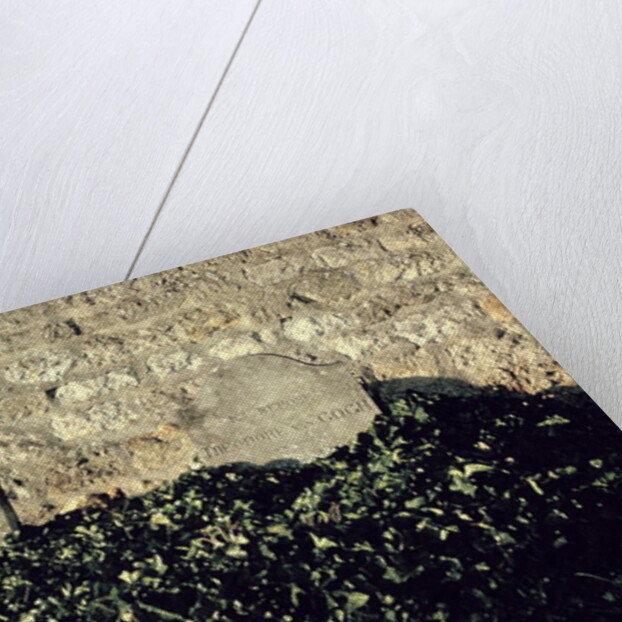 Graves of Vincent and Theo van Gogh, Auvers-sur-Oise by Anonymous