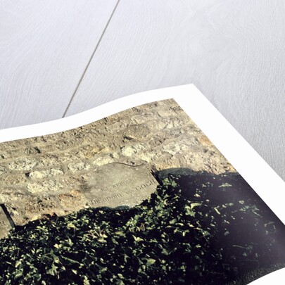 Graves of Vincent and Theo van Gogh, Auvers-sur-Oise by Anonymous