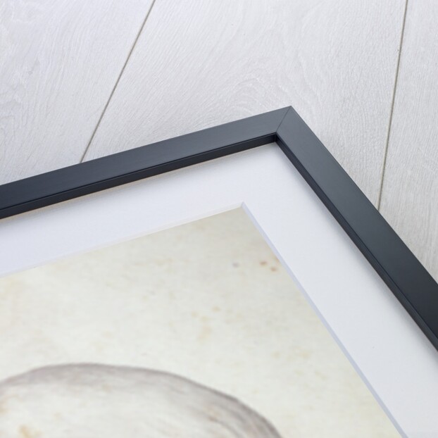 Portrait of Lord Horatio Nelson by English School