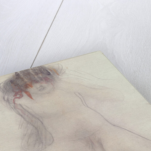 Nude by Auguste Rodin