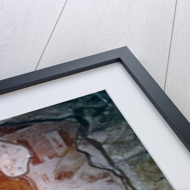 The Flight into Egypt by School Byzantine