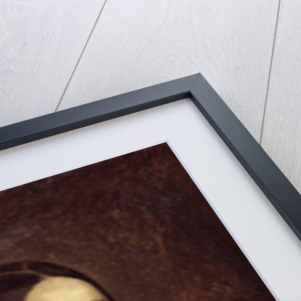 Portrait of Catherine Roumy by Jean-Francois Millet