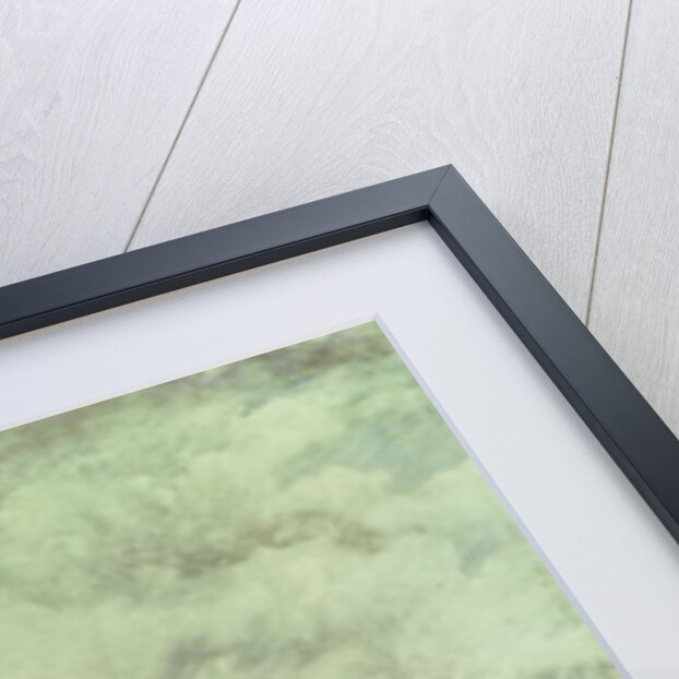 The Leaping Horse, 1825 by John Constable