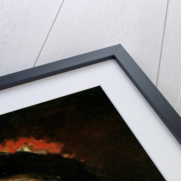 Young Boy in Fancy Dress, c.1660 by Rembrandt Harmensz. van Rijn