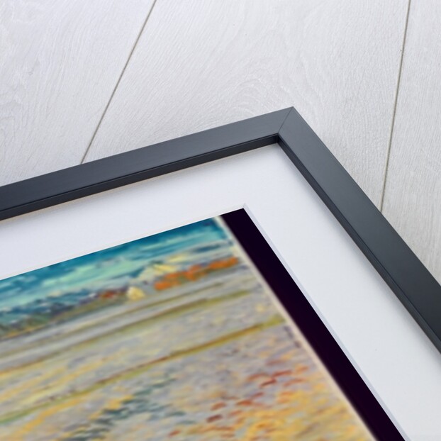 The Sower, 1888 by Vincent van Gogh