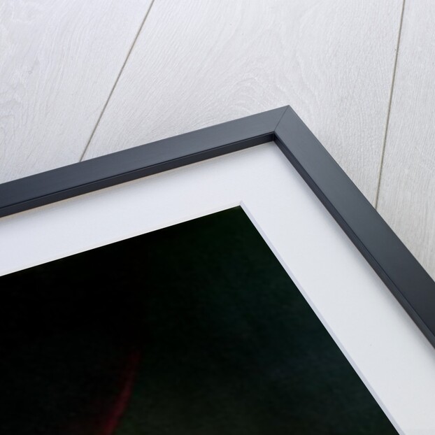 Portrait of Joseph Priestley by English School