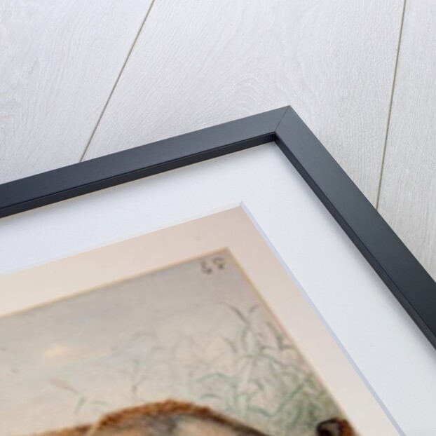 Hairy Eared Rhinoceros by Joseph Wolf