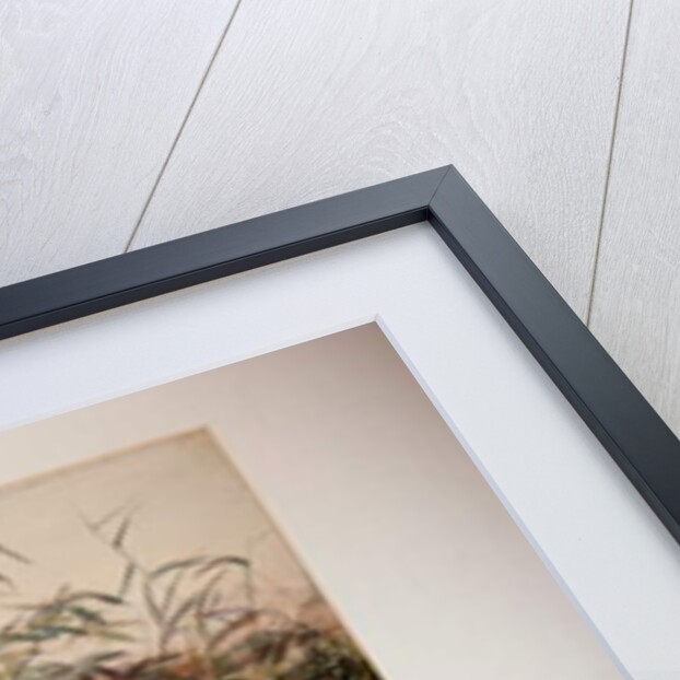 Tapir, 1880 by Joseph Wolf