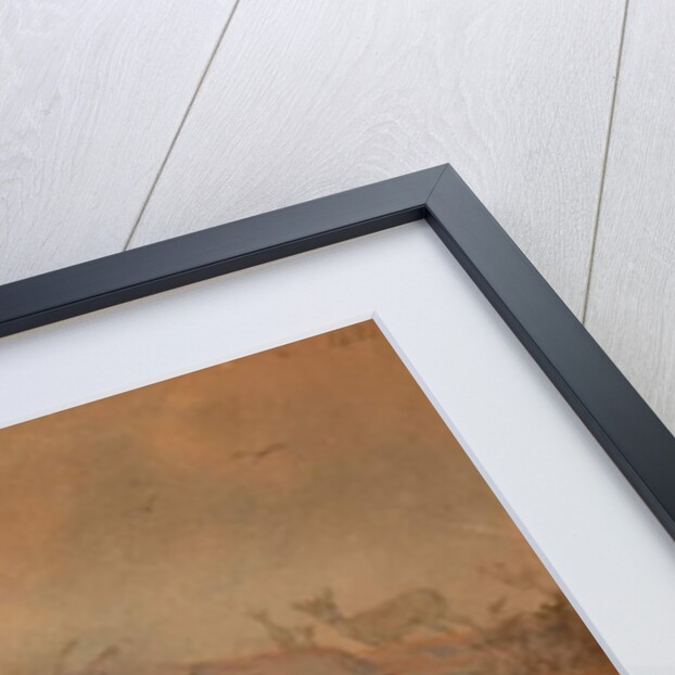 Vigne's Wild Sheep, 1858 by Joseph Wolf