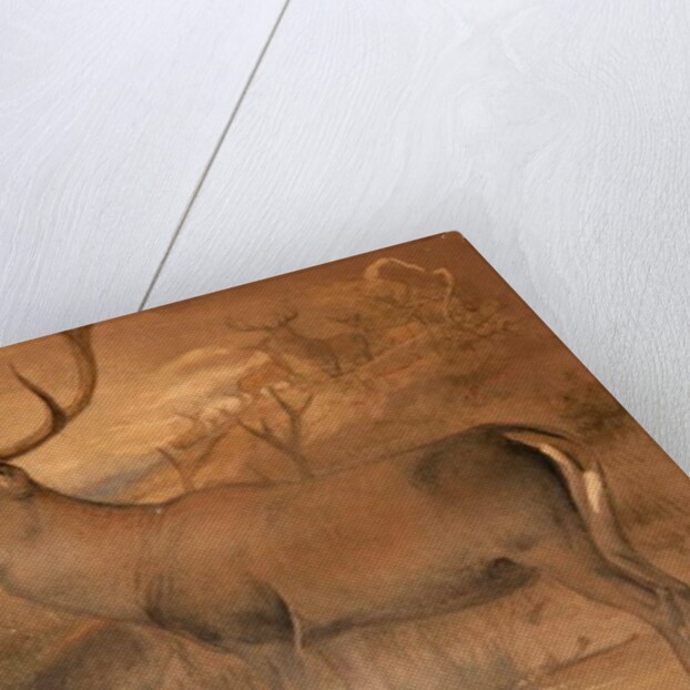 Persian Deer by Joseph Wolf