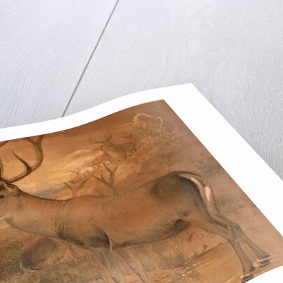 Persian Deer by Joseph Wolf