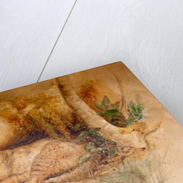 Egyptian Cat, 1851-69 by Joseph Wolf