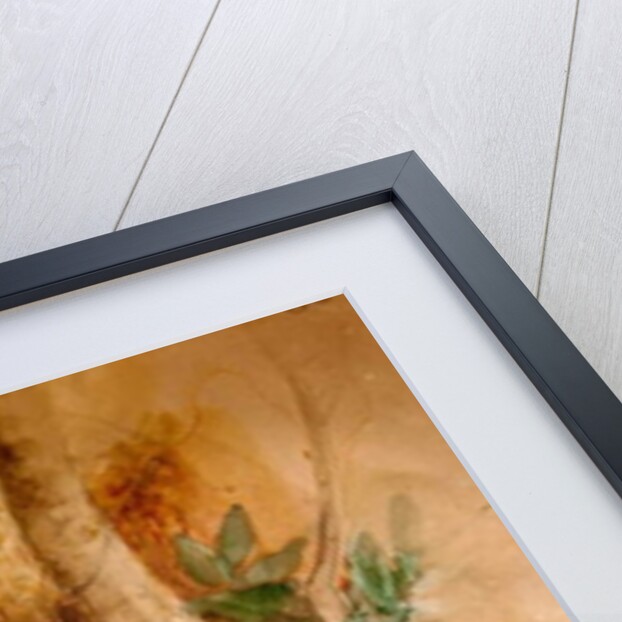 Egyptian Cat, 1851-69 by Joseph Wolf