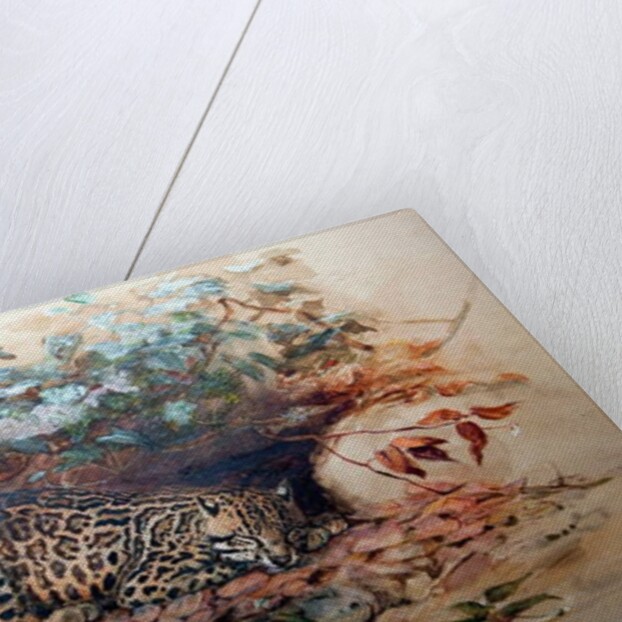 Ocelot, 1851-52 by Joseph Wolf