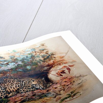 Ocelot, 1851-52 by Joseph Wolf