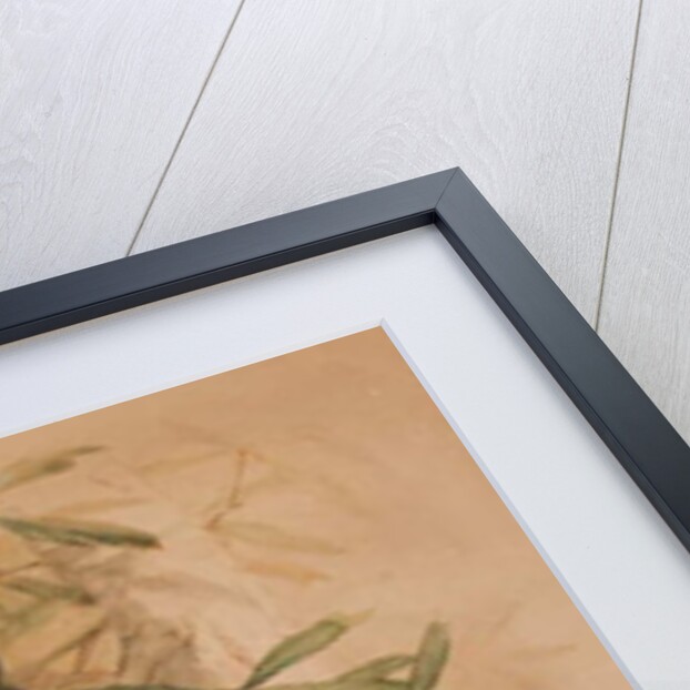 Ashy-black Macaque, 1869 by Joseph Wolf