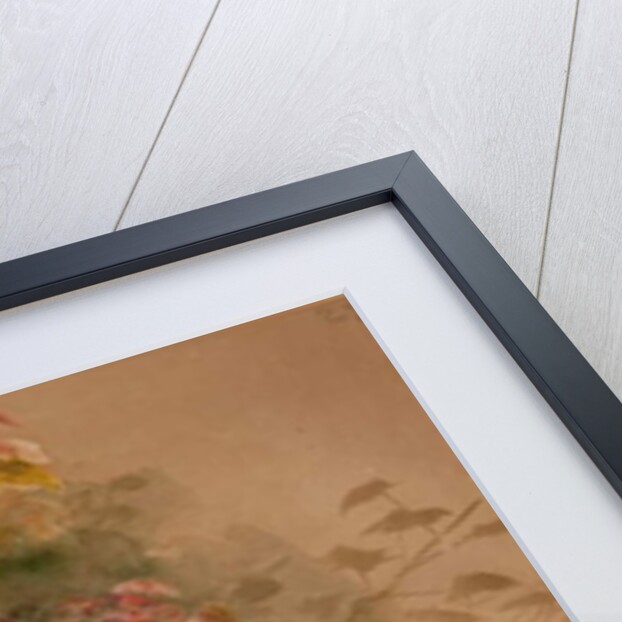 Clouded leopard by Joseph Wolf